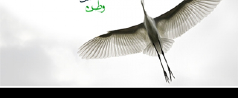 مؤمن عزت را در مسیر ابدیت جستجو می کند، و دیگران در شئون دنیایی