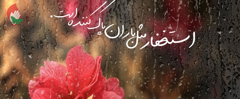 انسان با آمرزش پاک می شود