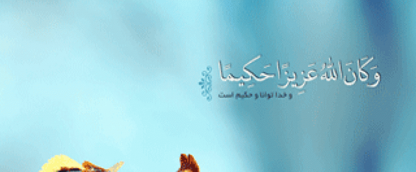 شرح خطبه توحیدی امام رضا(ع) (۲) - فراز یازدهم