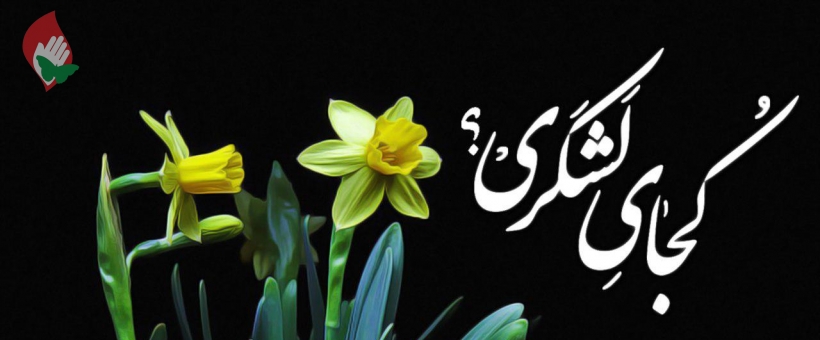 کجای لشکر امام زمانت هستی؟