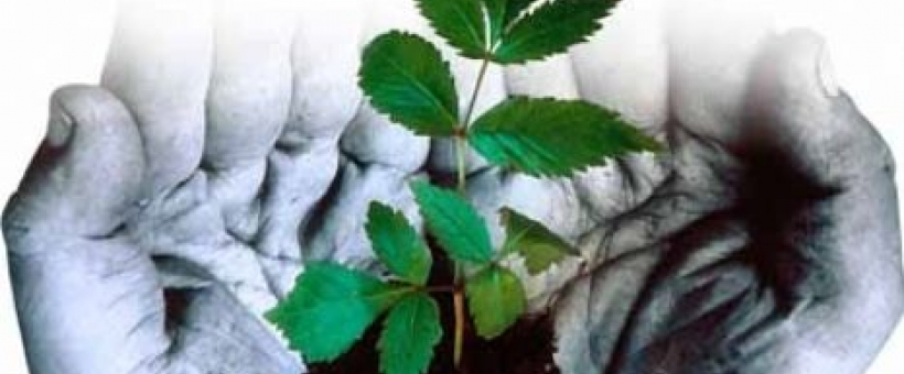 حسن بن محبوب کوفی